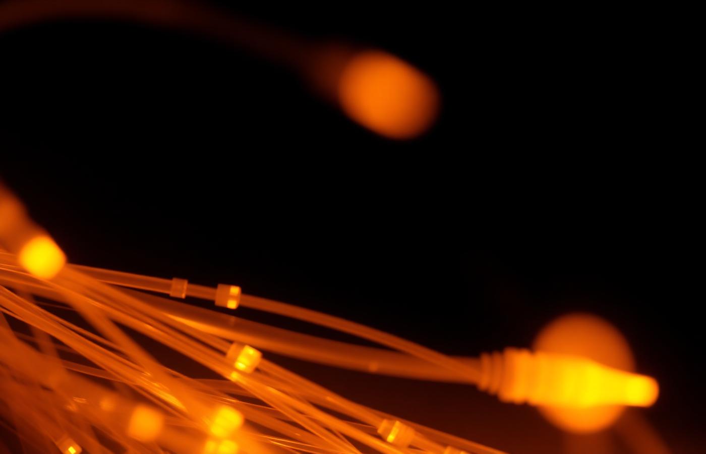 Macro photograph of glowing fiber optic strands against a deep black background